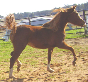 January, 2007