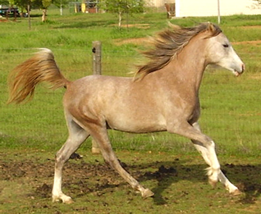 Tag playing, April 2007