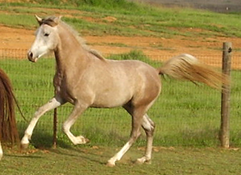 April 2007