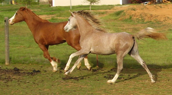 April 2007