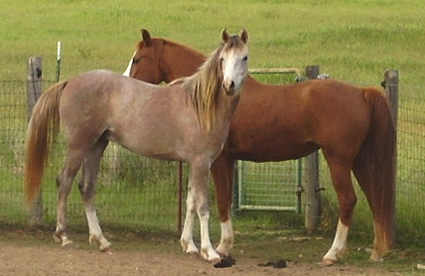 April 2007